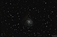 M 101