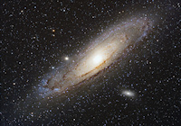 M31